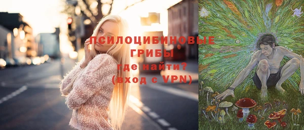 соль ск Богданович