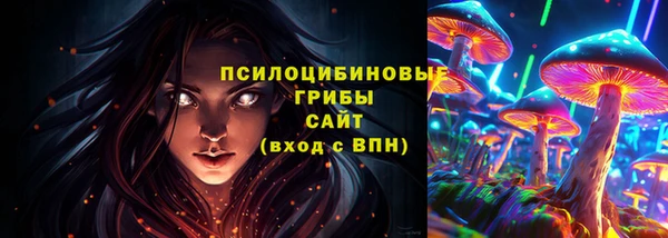 соль ск Богданович