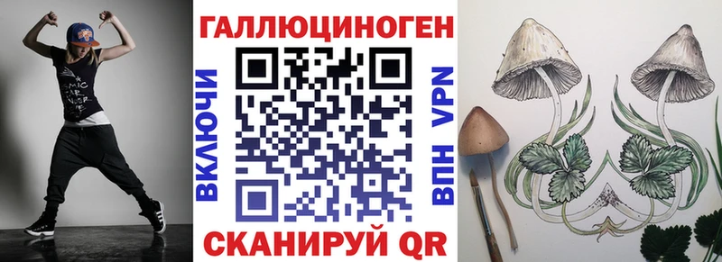 купить наркоту  Ярославль  mega зеркало  Псилоцибиновые грибы Psilocybe 
